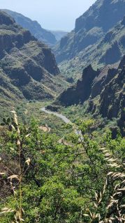 2023-04-GranCan-Guayadeque-028.jpg
